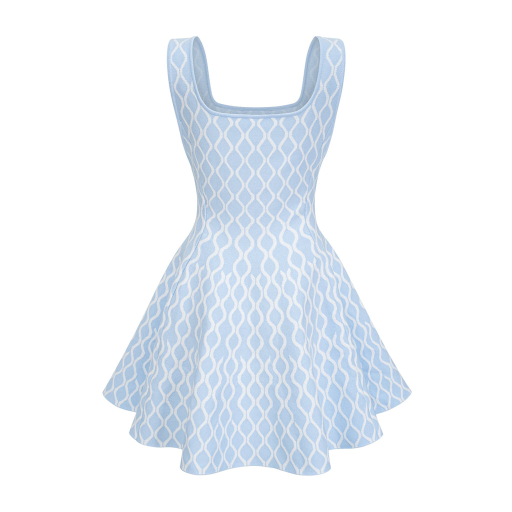 The Sasha Dress